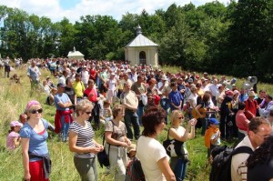 xx_pielgrzymka_grup_trzezwosciowych_kalwaria_paclawska_2008_18