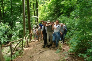 xx_pielgrzymka_grup_trzezwosciowych_kalwaria_paclawska_2008_21 