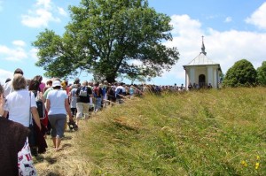 xx_pielgrzymka_grup_trzezwosciowych_kalwaria_paclawska_2008_23 