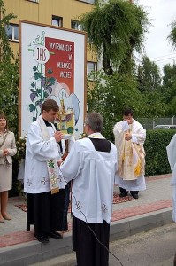 boze_cialo_2008-procesja_parafialna_13-web