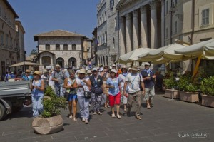 IMG_8237