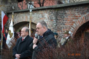 74. rocznica mordu w Huta Pieniacka  (47)