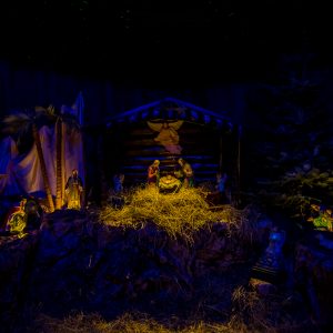 ŻYCZENIA ŚWIĄTECZNE